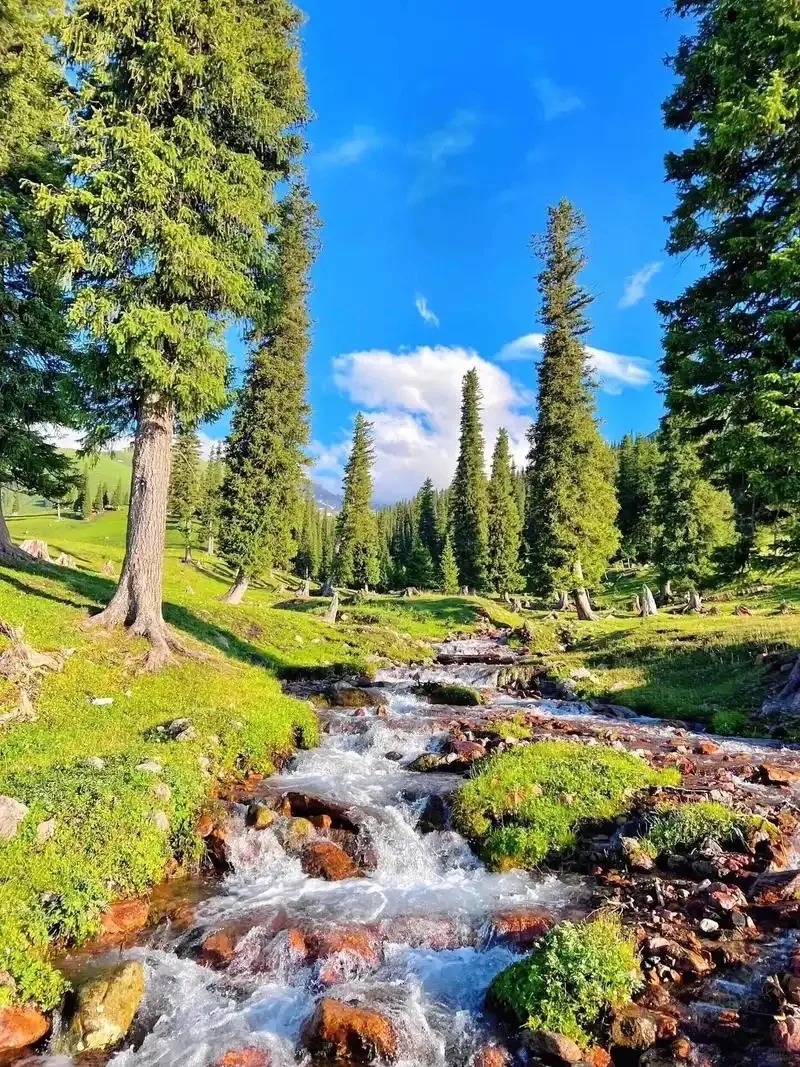 赴一场伊犁之约，邂逅人间盛景🌲_2_🐰　っ_来自tour520旅游攻略